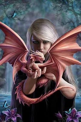 Produktbild von Pyramid Anne Stokes Dragonkin Poster 61x91.5cm.