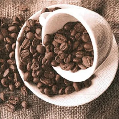 Produktbild von 20 Lunch Servietten  33X33Cm Coffee Cup