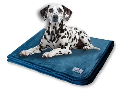 Produktbild von Wasserdichte Hundedecke für Sofa und Bett, maschinenwaschbar