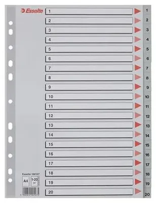 Register, plastový, A4, 1-20, ESSELTE, sivý