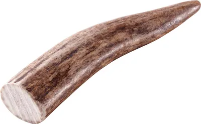 Produktbild von Chewies Rothirsch-Geweihstange XS