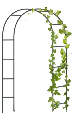 Image de Arche de jardin, structure robuste en acier, installation facile, vert, lot de 2