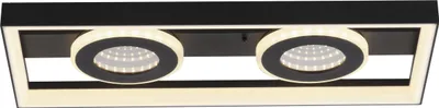 Produktbild von Paul Neuhaus Deckenleuchte TRAFORO LBH 45x20x6.20 cm schwarz Deckenlampe