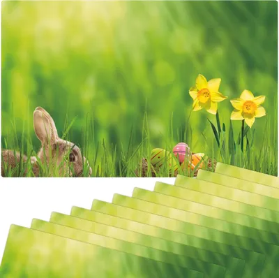Produktbild von Abwaschbare Tischsets 12er Set Ostern Blumen Osterglocken