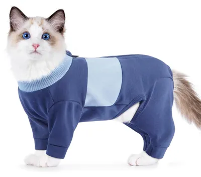 Katzenpullover mit Reißverschluss, Blau, XL