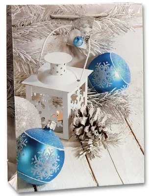 Produktbild von 12x Geschenktüten Geschenktaschen Groß 157g Glänzend Ca. 25x8,5x34,5cm