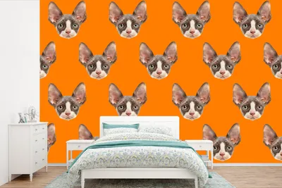 Produktbild von MuchoWow® Fototapete für Wohnzimmer oder Schlafzimmer Wandtapete Vinyl Motivtapete Tier - Orange - Muster - 525x350 cm - Das Hintergrundbild