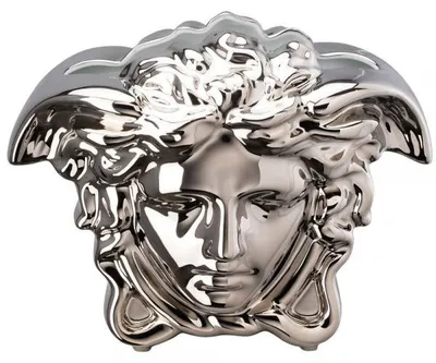Immagine prodotto di Vaso "Medusa" della collezione Versace by Rosenthal, grande, color argento (30 cm)