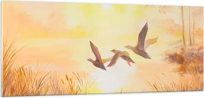 Produktbild von Bilder auf glas - Vogel Natur Wasser - 100x40cm - Glasbilder - Wandbilder - Kunstdruck - zum Aufhängen bereit - Wanddekoration aus Glas - Glas Bilder - Wandbild auf Glas - Einteilig - GAB100x40-3686