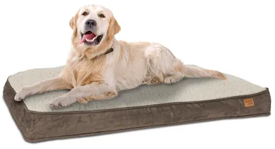 Produktbild von Hundebett Hundekorb Hundekissen 100 x 68 cm Waschbar & Rutschfest Happy Dreams L Braun ib style®
