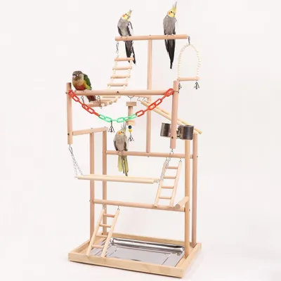 Produktbild von Vogelspielplatz Holz mit Leiter und Sitzstangen 48x33,5x94,5cm