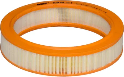 Image de Filtre à air HENGST FILTER E89L01 pour VW GOLF III (1H1)