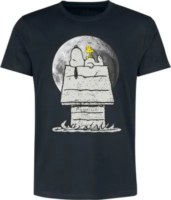 Produktbild von Peanuts T-Shirt Herren Moonlight - Snoopy und Woodstock schwarz XL