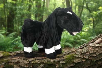Image de Toy Pony noir