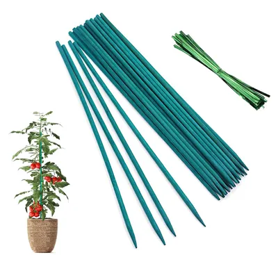 Productafbeelding van 50 Stuks Groene Plantstelen van 30 cm met Bindbanden voor Tuinplanten