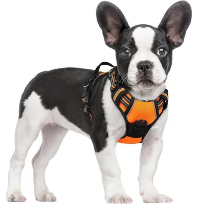 Image de Harnais pour chien anti-traction, réglable, respirant, avec réflecteur, couleur orange