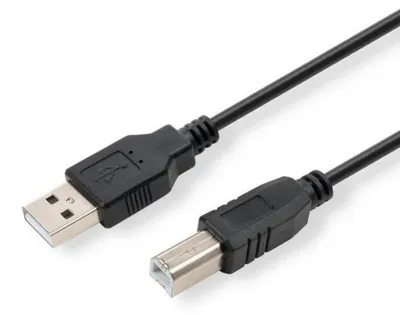 Image de Câble USB (2.0), USB A M - USB B (M), 5m, noir