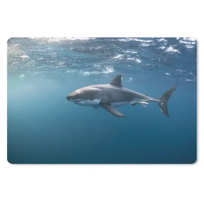 Produktbild von MuchoWow® Mauspad Mousepad Weißer Hai 27x18 cm - Mousepads - Maus Mat - Pad - Mausunterlage - Büroartikel - Desk Matten
