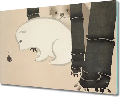 Produktbild von Coloray Kochplattenabdeckung Herdabdeckplatte 80x52 cm Hackbrett Schneidebrett Küchenbrett - asiatische Tiere