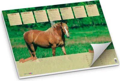 Produktbild von itenga Schreibtischunterlage Pferd DIN A3 50 Blatt