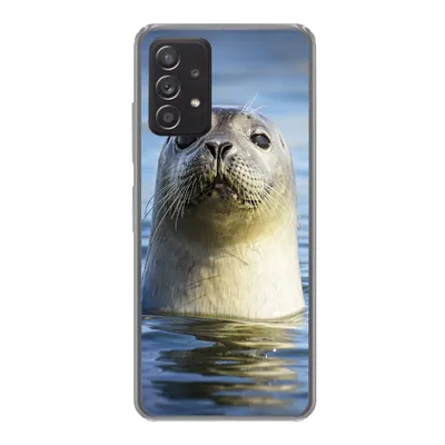 Produktbild von MuchoWow® Handyhülle Schutzhülle Hülle für Samsung galaxy a73 Siegel - Porträt - Wasser Silikon Softcase Handy Hülle - Handyhülle