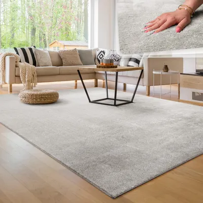Produktbild von Moderner Wohnzimmer Teppich Kurzflor Waschbar Weich Felloptik Anti-Rutsch Grösse 300x400 cm