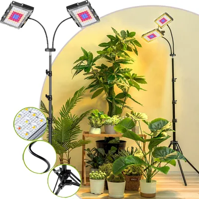Immagine prodotto di Lampada LED a spettro completo a 2 teste con supporto, lampade da coltivazione da 20 W dimmerabili per piante da appartamento, regolabile in altezza da 60 a 160 cm con timer automatico di accensione/spegnimento
