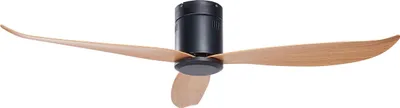 Obrázok produktu pre BELIANI Stropný ventilátor čierny kovový imitácia svetlého dreva nastavenie rýchlosti obývačka spálňa moderný škandinávsky štýl