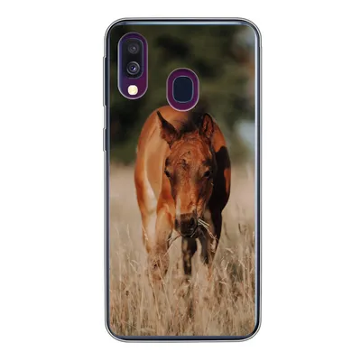 Produktbild von MuchoWow® Handyhülle Schutzhülle Hülle für Samsung Galaxy A40 Pferd - Sonne - Landschaft Silikon Softcase Handy Hülle - Handy-Tasche