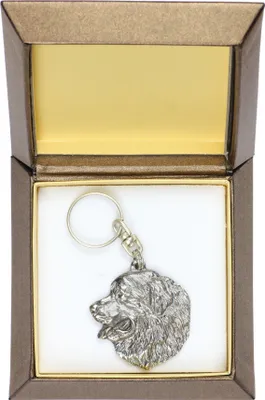 Produktbild von Berner Sennenhund, Dürrbächler, Bouvier bernois I - Versilberter Anhänger mit einem Hund in einer dekorativen Box, Handtaschenschmuck, Rucksackanhänger der Marke Art-Dog