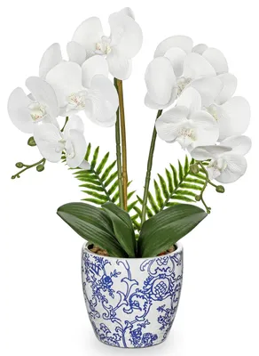Obrázek produktu pro Umělá orchidej bílé barvy v modrobílém keramickém květináči, výška 59,8 cm