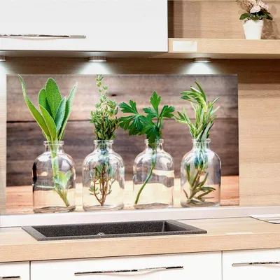Produktbild von Küchenrückwand aus Glas mit Kräutermotiv | Spritzschutz für den Herd | Bildmotiv Gewürze, Glasplatte 80x50cm