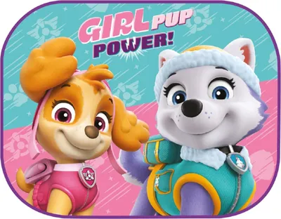 Immagine prodotto di Protezione solare per parabrezza auto | "PawPatrol" | 44x35cm | 2 pezzi