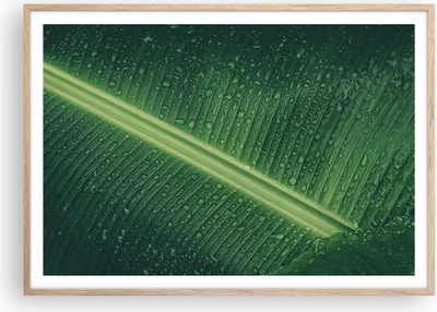 Produktbild von Gerahmtes Poster - Rahmen in heller Eiche - Makro Blatt Tropfen - 100x70 cm - Wand Bild - Wanddeko - Wandbilder - Kunstposter - Wandposter - Bilderrahmen - Bilder - Kunstdruck - P2NAA100x70-4372