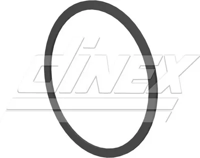 Immagine prodotto di Guarnizione del sistema di scarico DINEX 6LL006