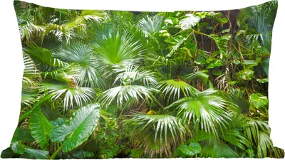 Produktbild von MuchoWow® Zierkissen Sofakissen Wohnzimmer Dekokissen 50x30 cm Palmwedel - Sonne - Tropisch - Wohnzimmerdekoration - Polster mit Photo
