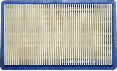 Zdjęcie produktu dla Filtr powietrza do Honda Gxv140 Mtd Torx (17211-Zg9-M00) 146X89X22