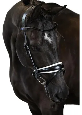Image de Ps Of Sweden Gp Noir Trense Schwarz Full Schwarz Full