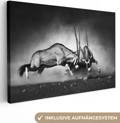 Produktbild von MuchoWow® - Leinwandbilder - Antilope - Schwarz und weiß - Porträt - Wildtiere - Tiere, Wandbild, Wanddeko Bilder Wohnzimmer, 120x80 cm