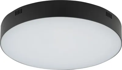 Immagine prodotto di Plafoniera LED D: 30 cm rotonda Nero 4000 K luce bianca neutra 4500 lm Moderno