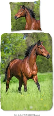 Immagine prodotto di Set di biancheria da letto per bambini Good Morning Runing Horse 135×200 cm
