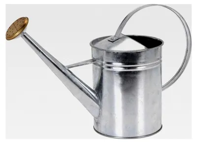 Produktbild von Gießkanne aus Zink im Vintage-Landhausstil für Innen und Außen 1,9 L