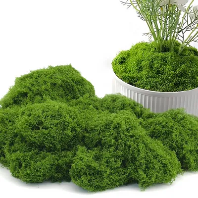 Kunstmoos 500 g – Bastelmoos für Dekoration, Aquarium & Landschaftsbau