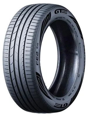 Obrázek produktu pro Pneumatika GT RADIAL 205/55 R16 91V CHAMPIRO FE2 EVO