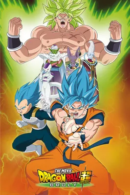 Produktbild von Dragon Ball - Poster - Broly Group