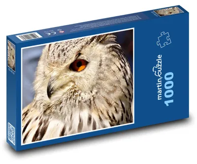 Obrázek produktu pro Puzzle 1000 Sova s Oranžovýma Očima - martinpuzzle
