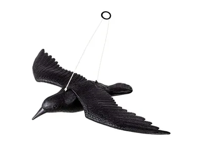 Image de APT AG384D Répulsif pour pigeons et oiseaux Corbeau 40 cm
