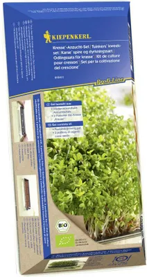 Produktbild von Kiepenkerl  Anzuchtset Kresse Lepidium sativum 1 Stück
