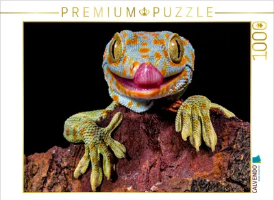 Produktbild von CALVENDO Puzzle Lecker | 1000 Teile Lege-Größe 64x48cm Foto-Puzzle für glückliche Stunden