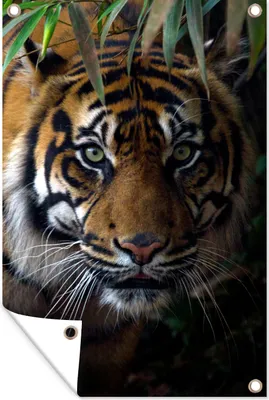 Produktbild von MuchoWow® 40x60 cm Outdoor-Poster Gartendeko Sichtschutz Garten Poster für den Garten  Tiger - Blätter - Dschungel - Tiere - Wild